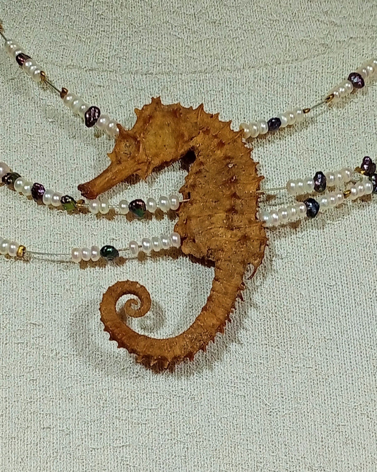 COLLIER OCEAN PACIFIQUE