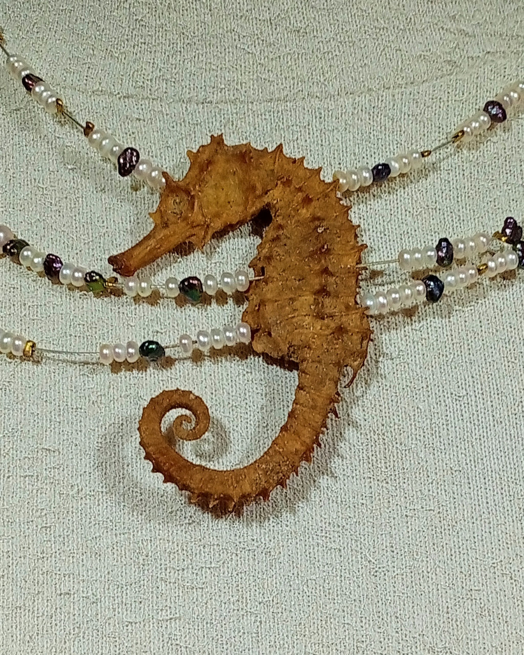 COLLIER OCEAN PACIFIQUE